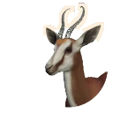 Coffee Morph Springbok colour morph in Planet Zoo 2
