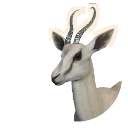 Ivory Morph Springbok colour morph in Planet Zoo 2