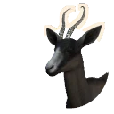 Black Morph Springbok colour morph in Planet Zoo 2