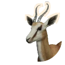Springbok in Planet Zoo 2