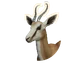 Springbok in Planet Zoo 2