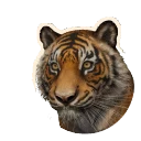 Sumatran Tiger in Planet Zoo 2