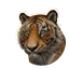 Sumatran Tiger in Planet Zoo 2