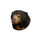Sun Bear in Planet Zoo 2