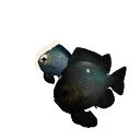 White Morph Threespot Damselfish colour morph in Planet Zoo 2