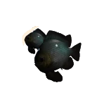 Threespot Damselfish in Planet Zoo 2