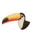 Toco Toucan in Planet Zoo 2