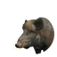Wild Boar in Planet Zoo 2