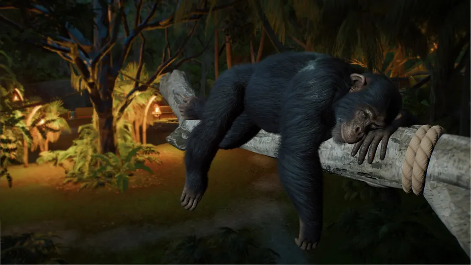 A chimpanzee asleep on a branch at night in Planet Zoo 2
