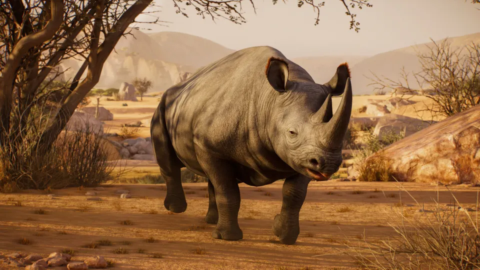 A rhinoceros walking across dry savanna ground in Planet Zoo 2