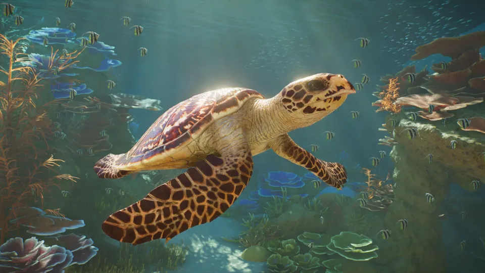 A sea turtle swimming over a coral reef in a Planet Zoo 2 aquarium