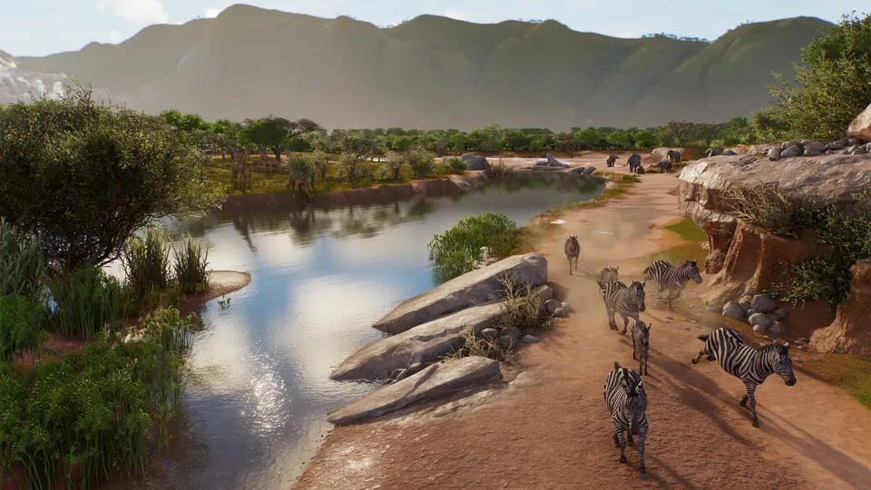 Zebras walking along a riverbank in a grassland habitat in Planet Zoo 2